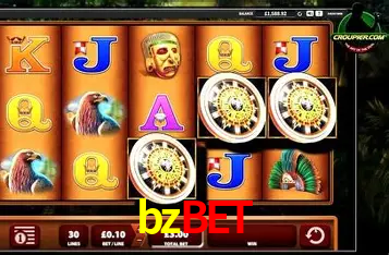 Login Interface